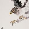 Chinese-Painting_bird_eagle