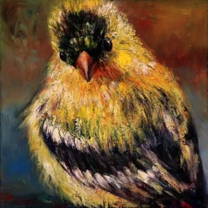 Grace Lin- Cute Yellow